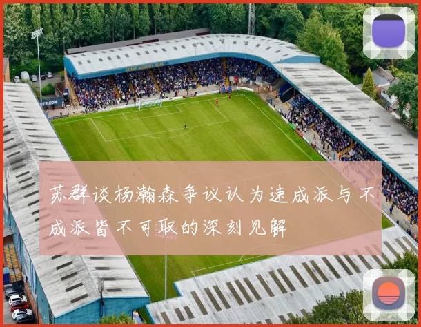 苏群谈杨瀚森争议认为速成派与不成派皆不可取的深刻见解