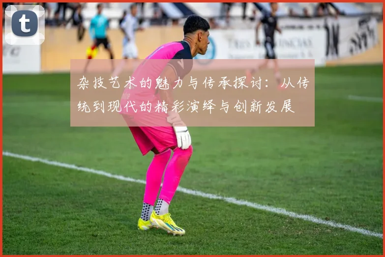 杂技艺术的魅力与传承探讨：从传统到现代的精彩演绎与创新发展